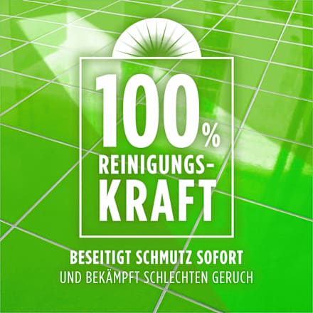 Allzweckreiniger Frühlingsblumen, 1.000 ml