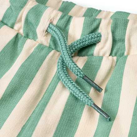 Shorts mit Streifen-Muster, grün, Gr. 104, 1 St ALANA