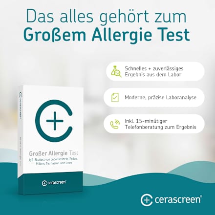 Großer Allergie Test, 1 St
