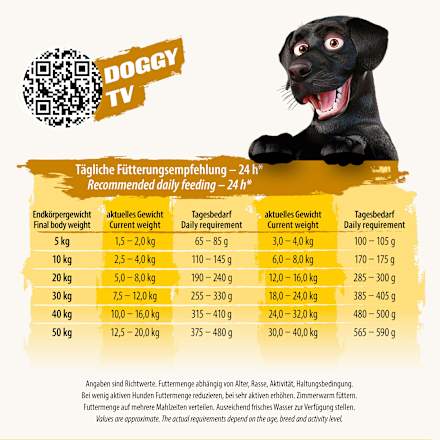 Trockenfutter Hund Welpe mit Geflügel, Junior, 10 kg DoggyDog