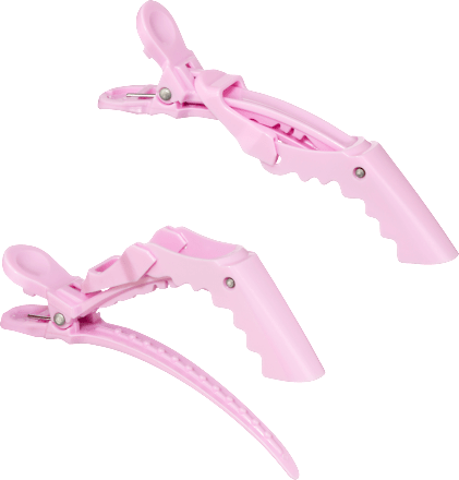 Haarspeldjes krokodil Happy hairmazing day, 2 stuks