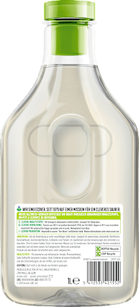 Allzweckreiniger Zitronengras & Ingwer, 1 l