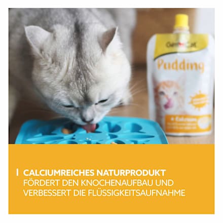 Nahrungsergänzung Katze, Pudding mit Calcium, 150 g