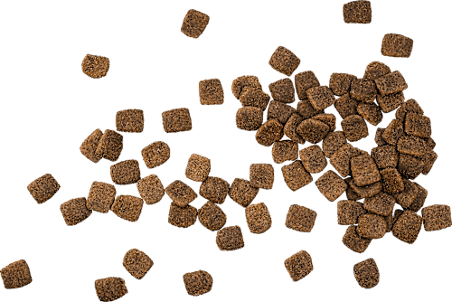 Trockenfutter Hund mit Insekten, hypoallergen, 10 kg