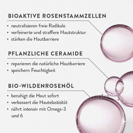 Gesichtscreme Rose, 50 ml Judith Williams