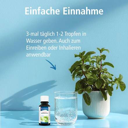 Japanisches Heilpflanzennöl, 20 ml