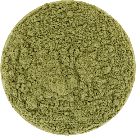Superfood Pulver, Gerstengras, 500 g