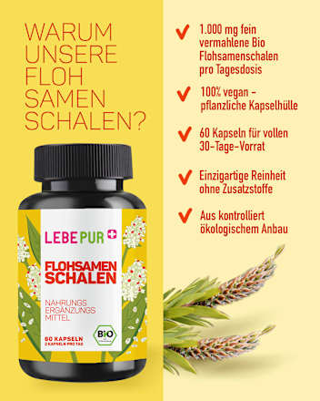 Bio Flohsamenschalen Kapseln 60 St, 36 g
