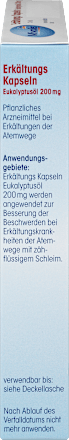 Eucalyptusolie koude capsules, 60 stuks