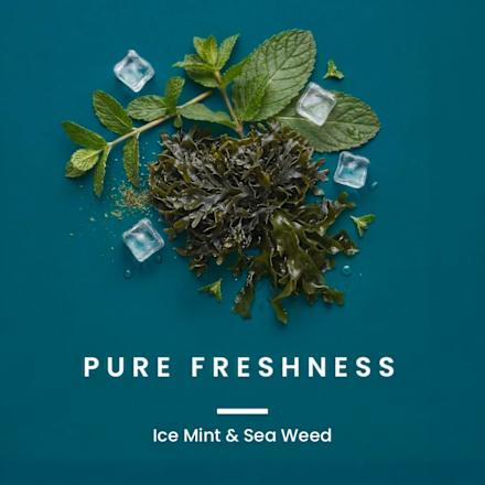 Duschgel Pure Freshness 3in1, 300 ml