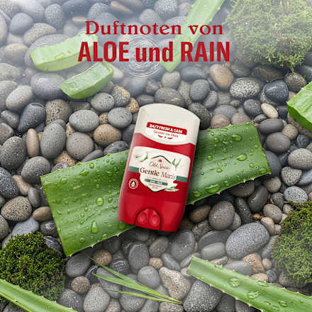 Deostick Gentle Man´s Aloe & Rain, 50 ml