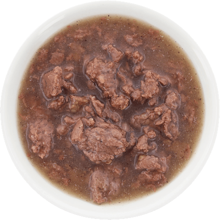 Nassfutter Katze mit Huhn, Ente, Rind & Lachs in Soße, Multipack (4x85 g), 340 g