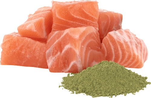 Nassfutter Katze mit Lachs, 85 g