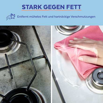 Küchenreiniger 2in1 Reinigung & Desinfektion, 1 l