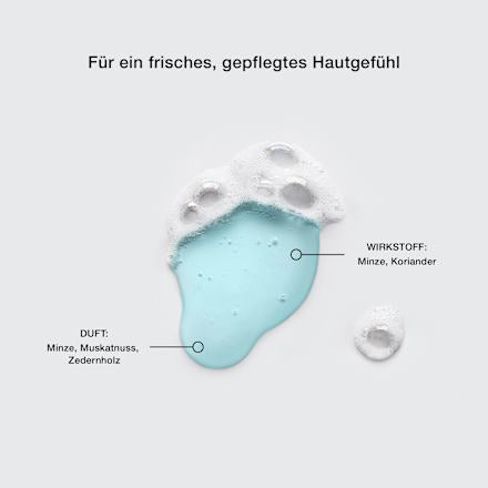 Duschgel fresh 3in1, Reisegröße, 100 ml