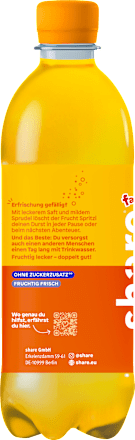 Erfrischungsgetränk, Frucht Spritzi Multifrucht, 500 ml EINWEG