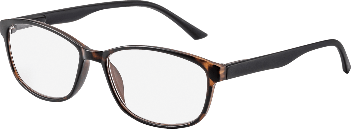 Lunettes de lecture toutes faites Visiomax demi-brun +1,50, 1 pce