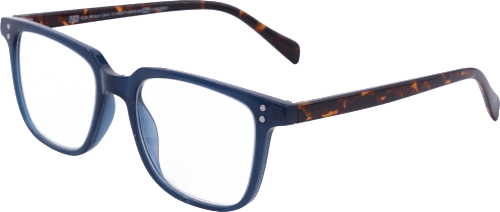 Fertig-Lesebrille demi/dunkelblau +2,00, 1 St