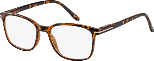Fertig-Lesebrille glänzend/transparent demi braun +3,00, 1 St