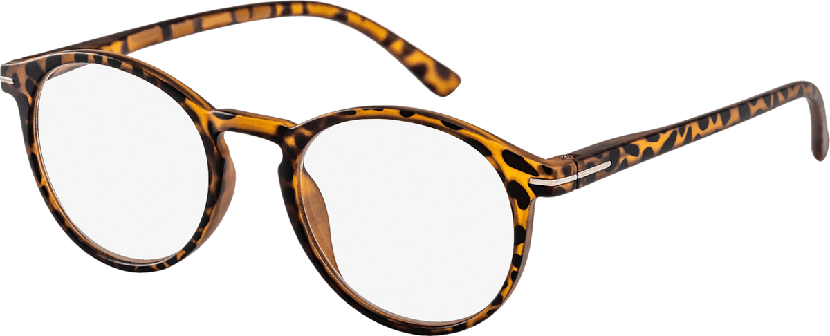 Lunettes de lecture toutes faites Visiomax transparentes mates demi-cerclées marron +3,00, 1 pce
