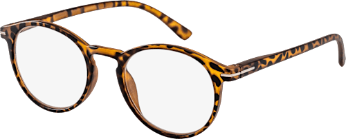 Fertig-Lesebrille matt transparent demi braun +3,50, 1 St