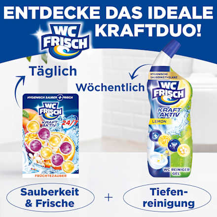 WC-Stein Kraft Aktiv Früchtezauber, 2 St