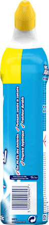 Toiletreiniger 00 Active Gel 4in1 Cool Arctic, 750 ml