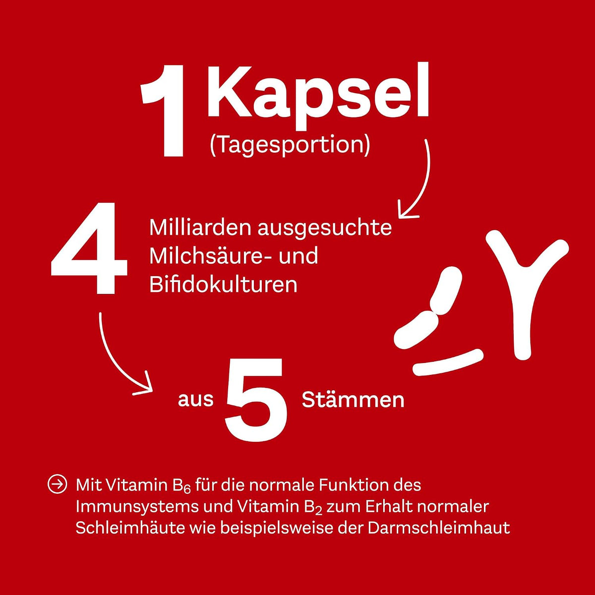 Lacto-Pro capsules 60 stuks, 28,8 g