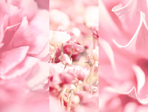 Deospray Velvet Blossom, 150 ml