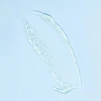 Cleanser Exfoliation Feel Pure Refill, 175 ml INAO