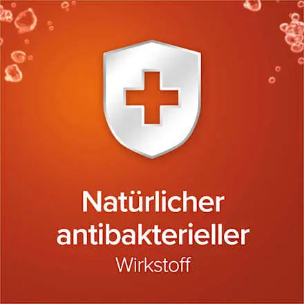Flüssigseife Hygiene-Plus family, 300 ml Palmolive