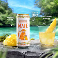 Eistee, Mate Mango, 0,33 l EINWEG