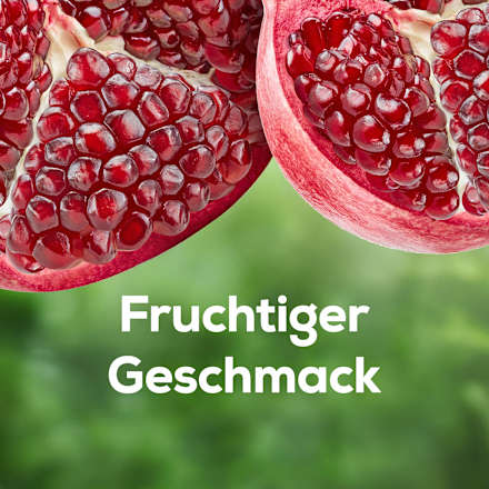 Erfrischungsgetränk, Granatapfel mit Minz-Extrakt & Guarana, 0,25 l EINWEG