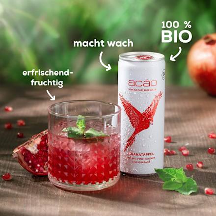 Erfrischungsgetränk, Granatapfel mit Minz-Extrakt & Guarana, 0,25 l EINWEG