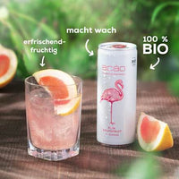 Erfrischungsgetränk, Pink Grapefruit mit Guarana, 0,25 l EINWEG