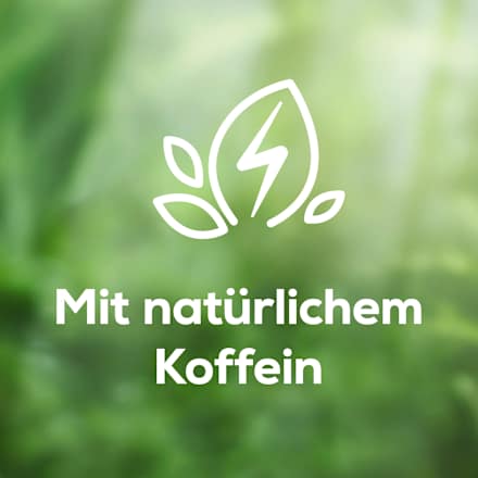 Erfrischungsgetränk, Quitte Zitrone mit Guarana, 0,25 l EINWEG
