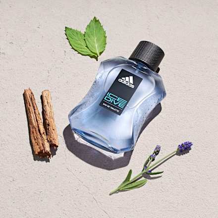 Ice Dive Eau de Toilette, 50 ml