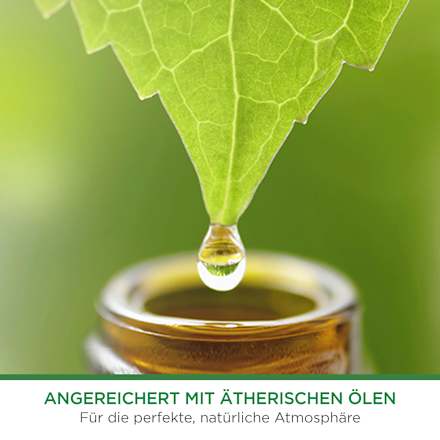 Lufterfrischer Freshmatic Sommervergnügen Nachfüllpack, 250 ml AirWick