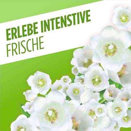 Allzweckreiniger Frühlingsblumen, 1.000 ml