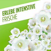 Allzweckreiniger Frühlingsblumen, 1.000 ml