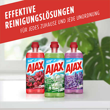 Allzweckreiniger Frühlingsblumen, 1.000 ml
