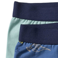 ALANA Boxershorts mit Dino-Muster, blau + grün, Gr. 86/92, 2 St
