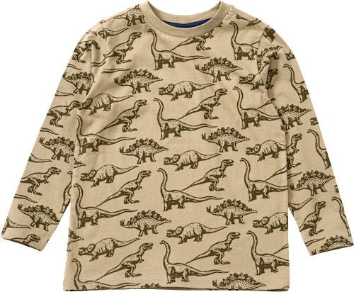 Langarmshirt mit Dino-Muster, braun, Gr. 134, 1 St
