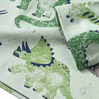 Langarmshirt Pro Climate mit Dino-Muster, grün, Gr. 110, 1 St