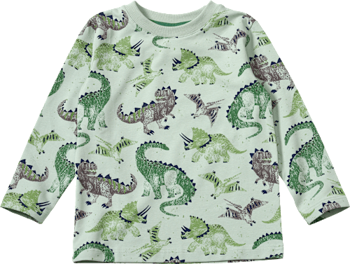 Langarmshirt Pro Climate mit Dino-Muster, grün, Gr. 110, 1 St