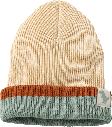 Mütze mit Dino-Label, beige & braun & blau, Gr. 50/51, 1 St