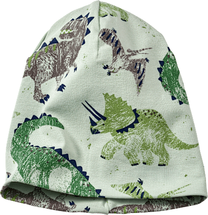 Mütze Pro Climate mit Dino-Muster, grün, Gr. 48/49, 1 St