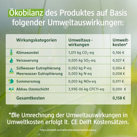 Pro Climate hoed met wafelstructuur, paars, maat 54/55, 1 stuk