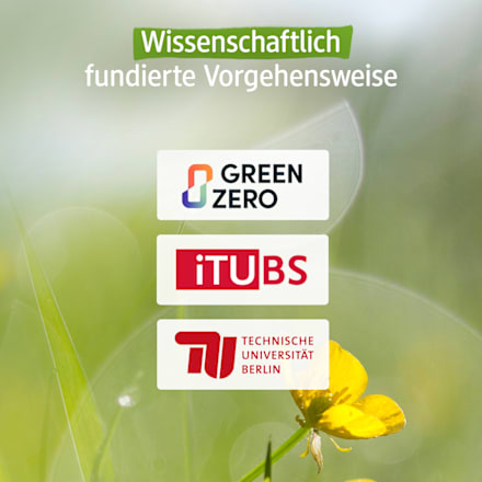 Pro Climate hoed met wafelstructuur, paars, maat 54/55, 1 stuk