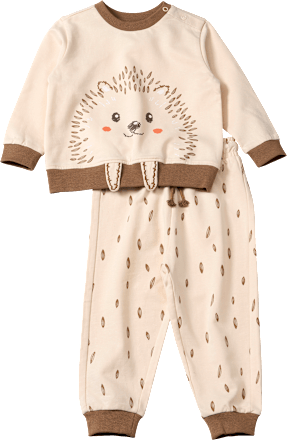 Set met broek en trui met egelapplicatie, beige, maat 86, 1 stuk